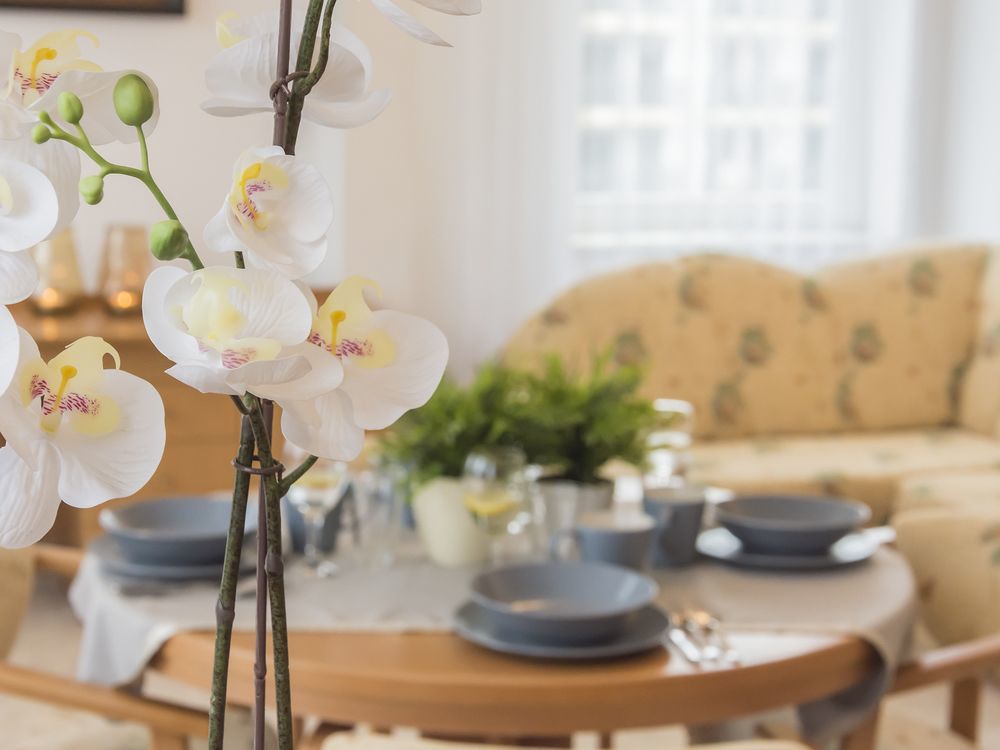 קולובז'ג Polonia Apartamenty מראה חיצוני תמונה